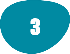 Paso 3